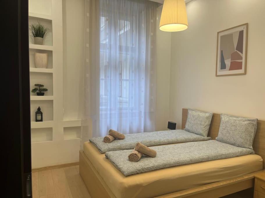 Szechenyi Renovated 2Br At Danube River Βουδαπέστη Εξωτερικό φωτογραφία